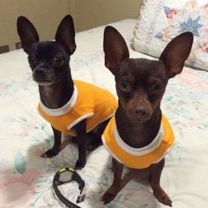 Meet your Posher, Renato